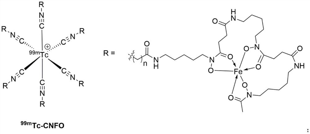 Technetium-99m-labeled isonitrile-containing ferrichomide derivative as well as preparation method and application thereof