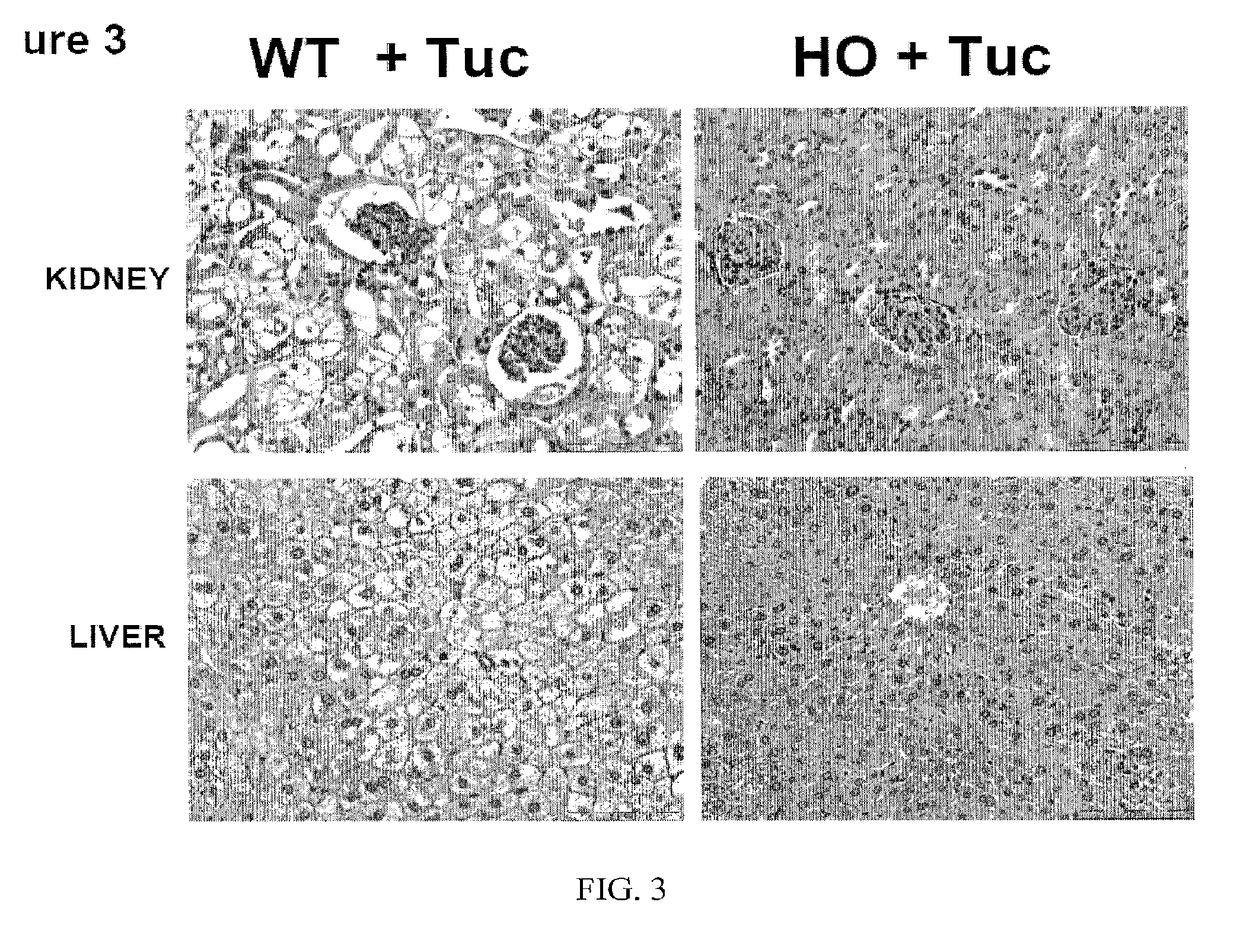 Uses of and methods of treatment with cystathionine