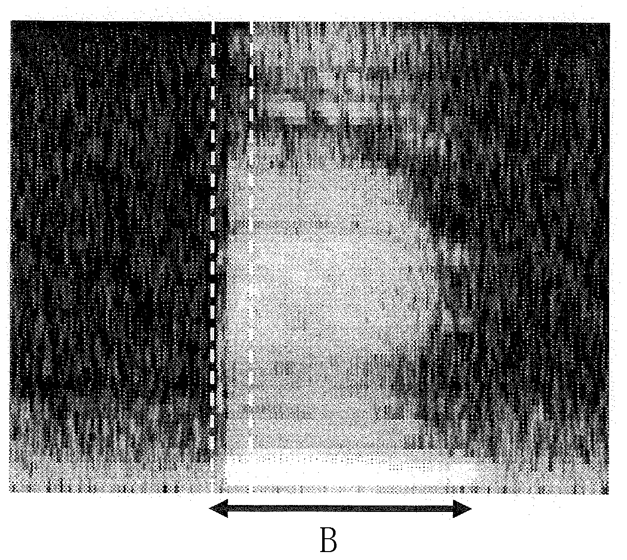 Voice recognition device