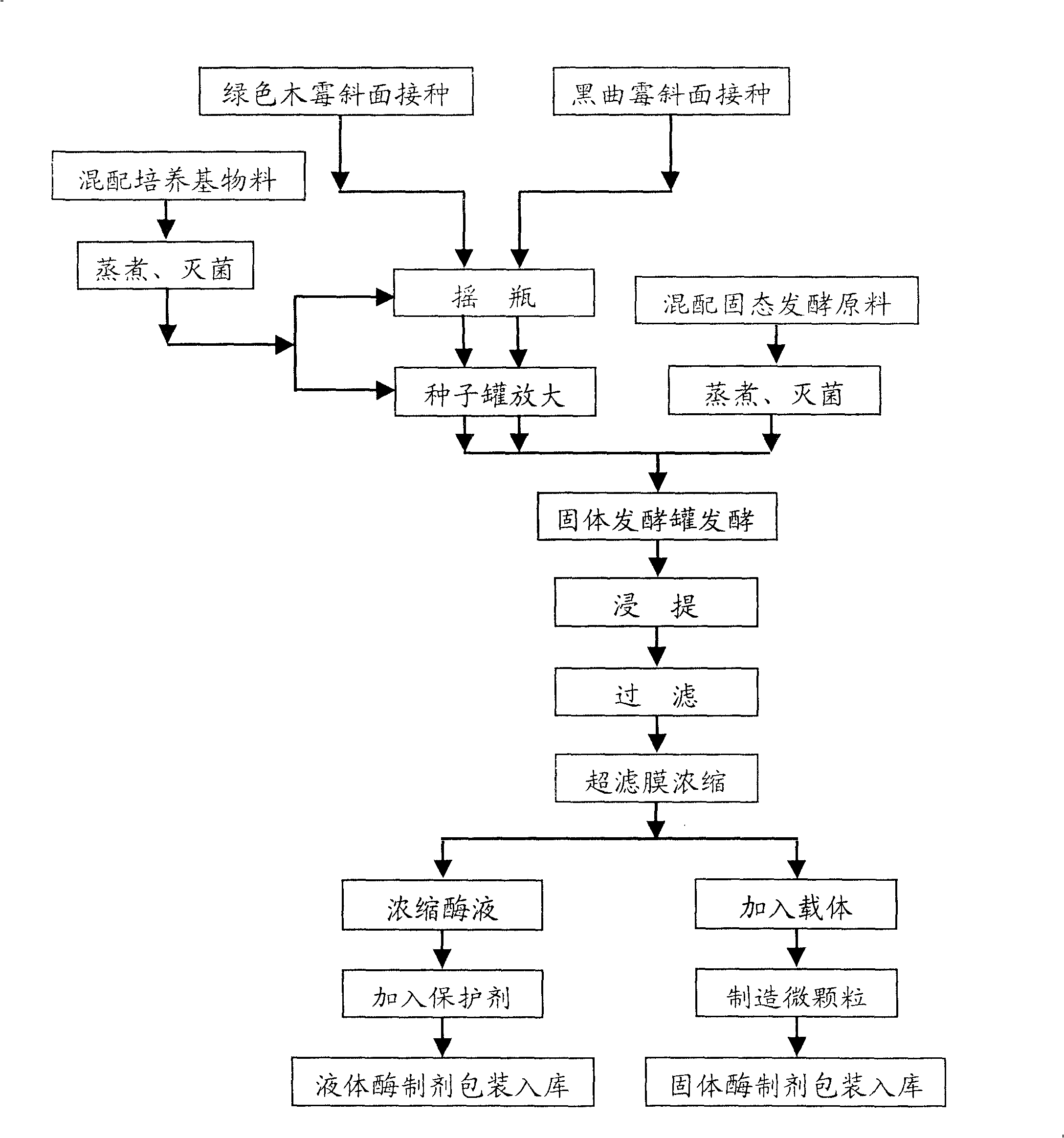 Composite microorganism beta-dextranase and beta-glucosaccharase production method