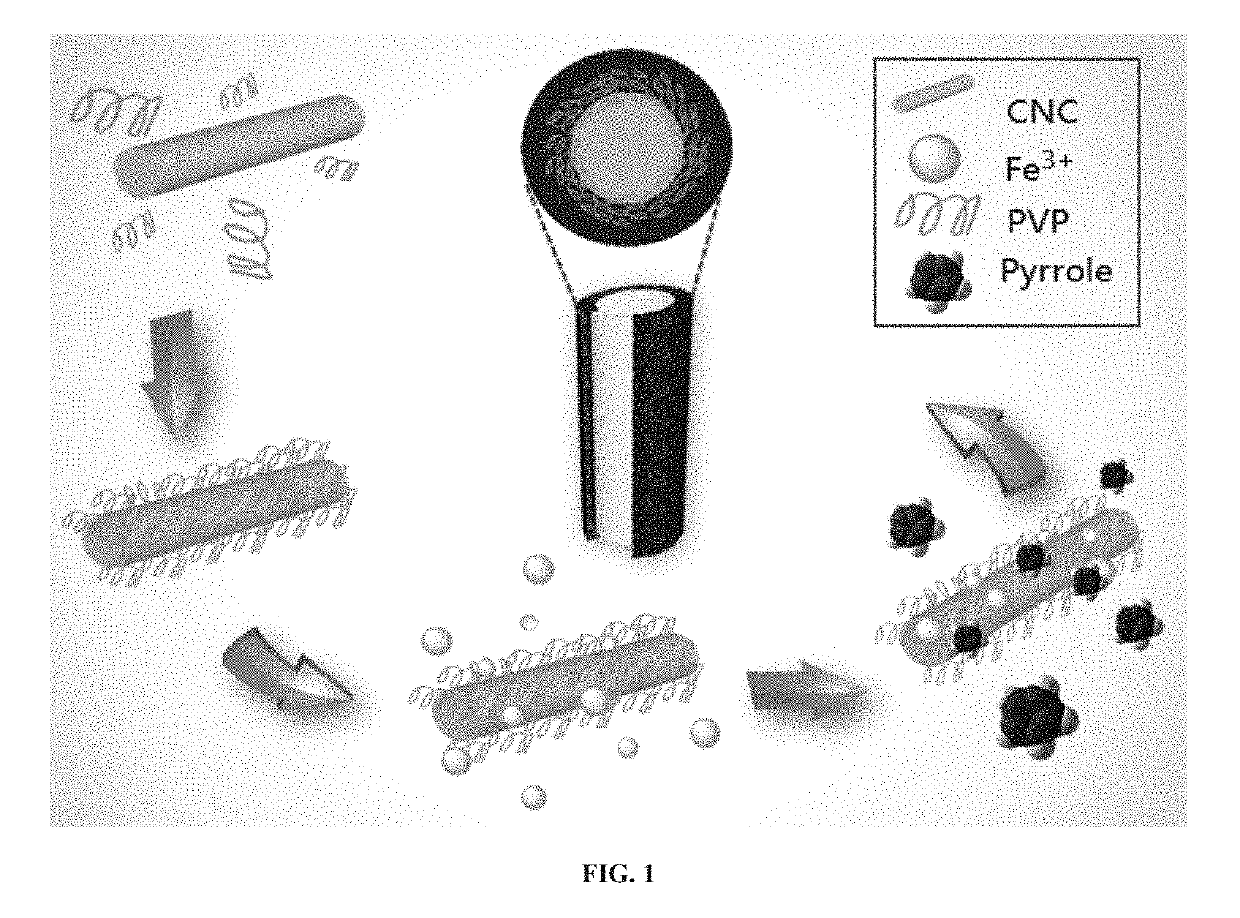 Conductive cellulose nanocrystals, method of producing same and uses thereof