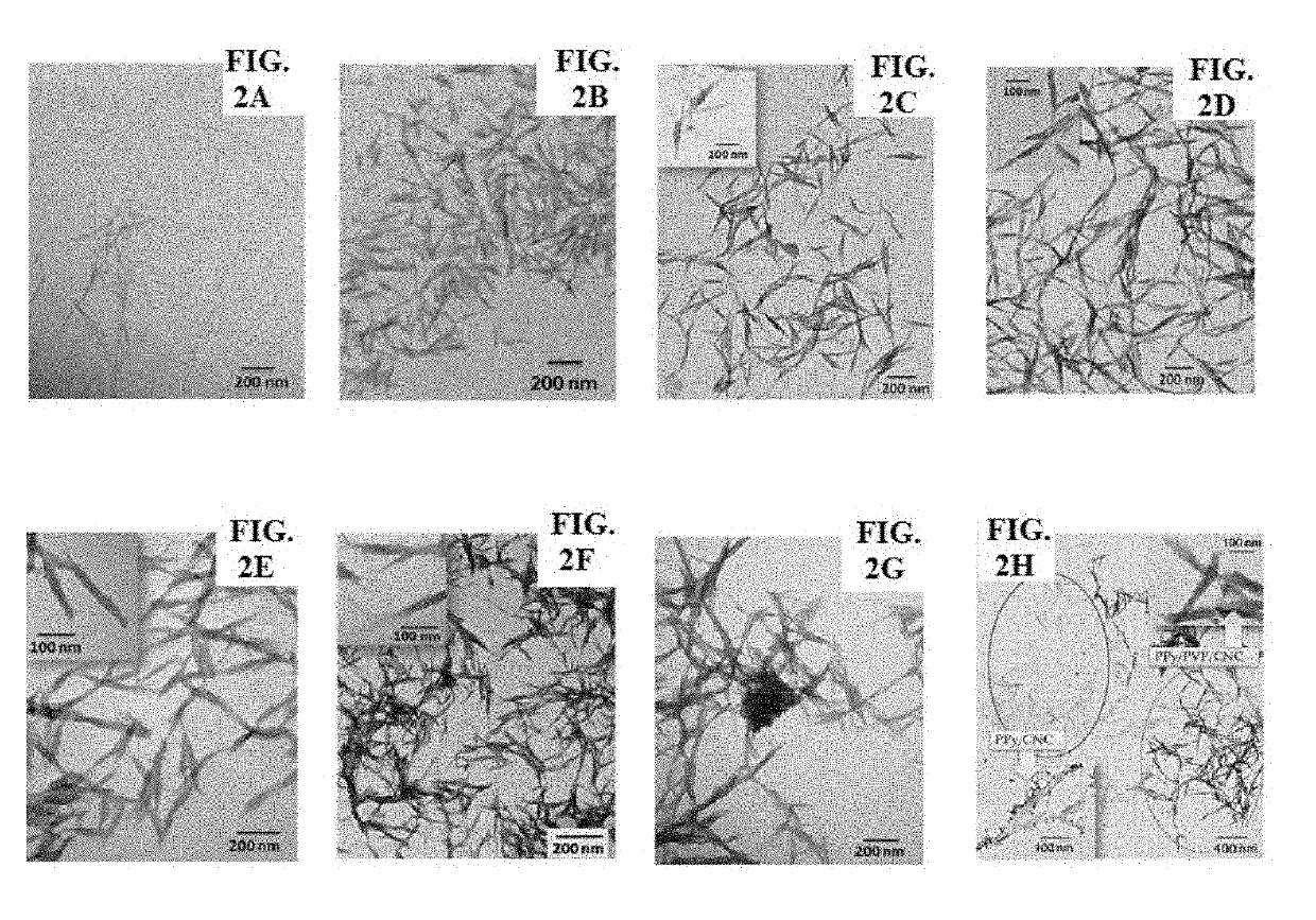 Conductive cellulose nanocrystals, method of producing same and uses thereof