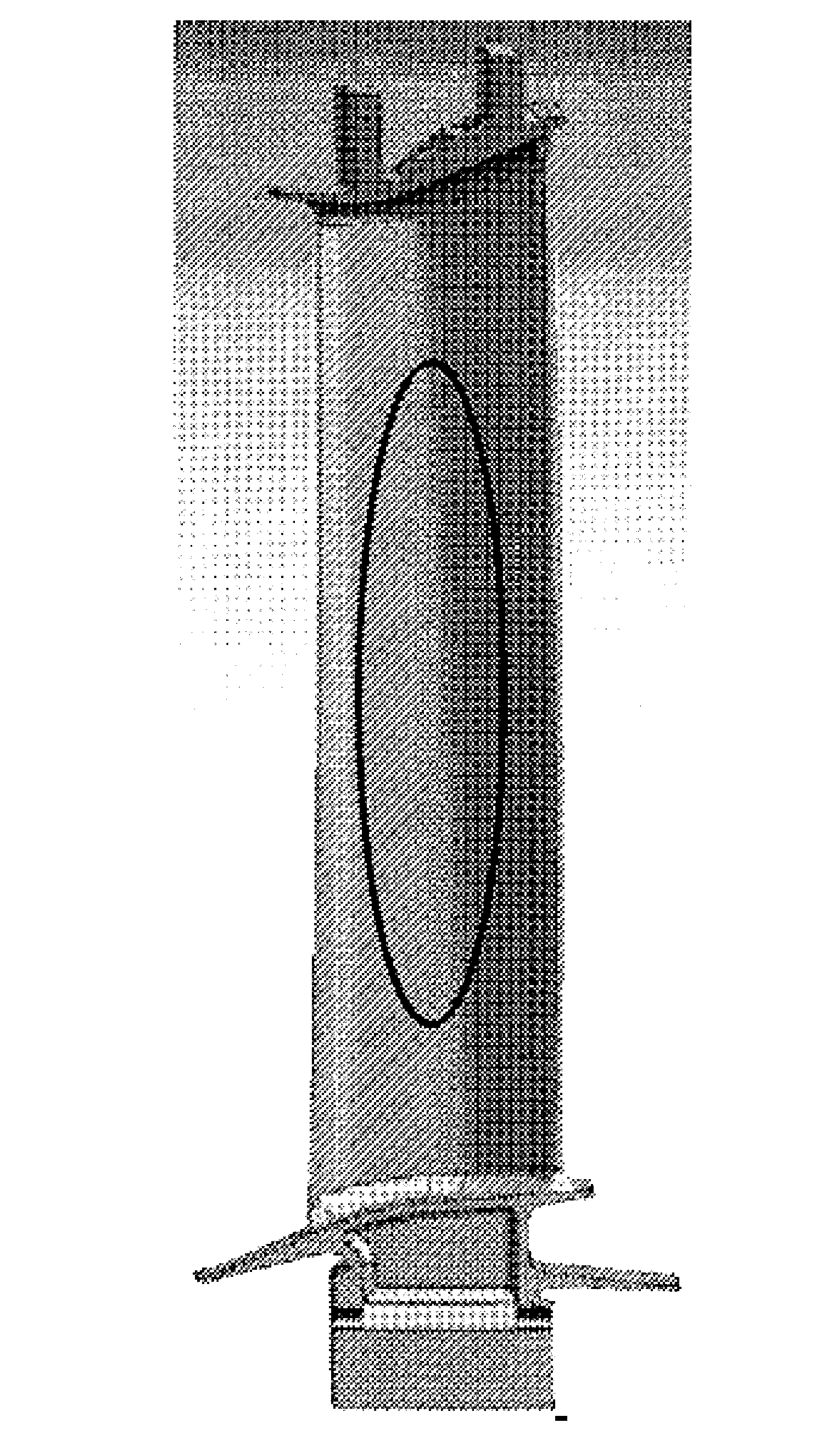 Method for casting isometric crystal turbine work blade blanks