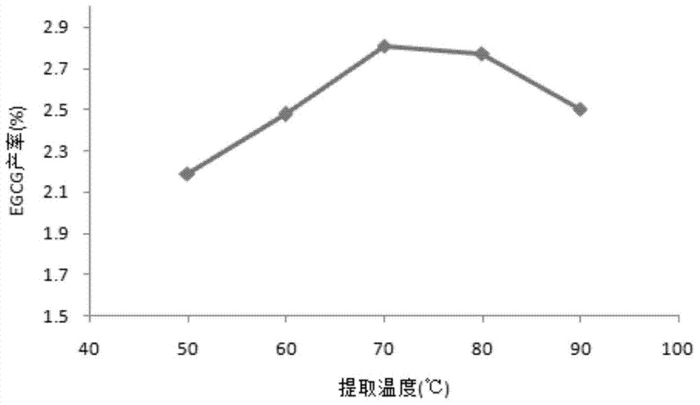 Method for extracting EGCG (epigallocatechin gallate) in tea leaves by water extraction