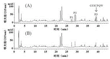 Dasyatis akajei cartilage polypeptide angiogenesis inhibitor