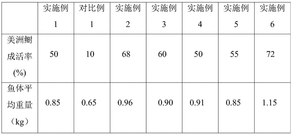 Alosa sapidissima culture method