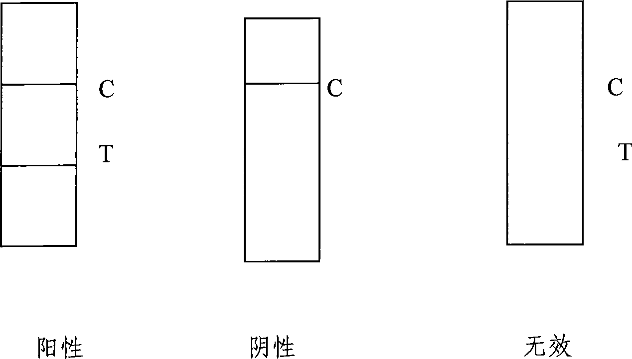 Test paper strip for detecting encephalitis virus IgM antibody colloidal gold, method for making same and applications