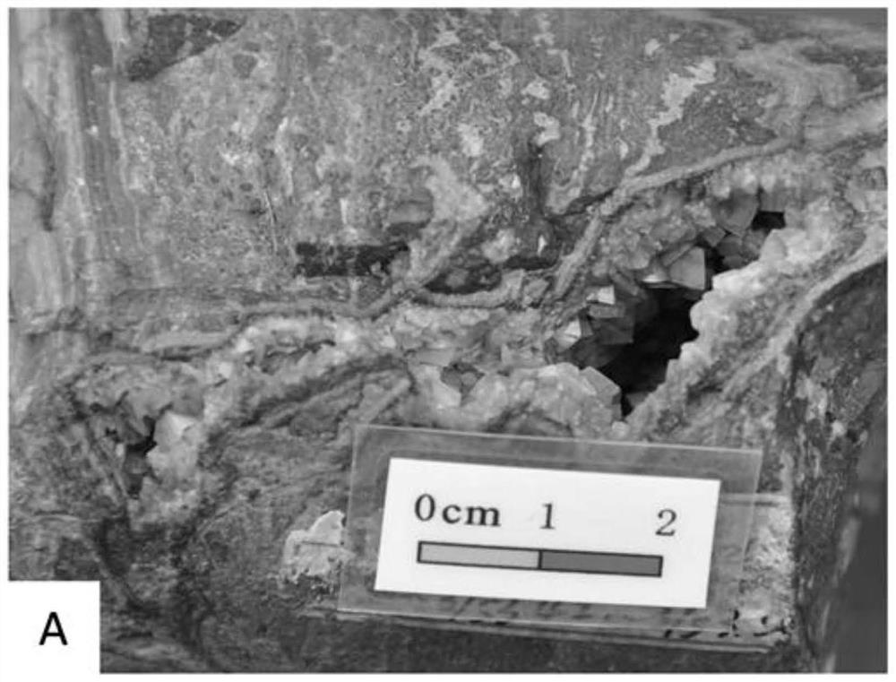 Carbonate rock oil and gas reservoir-forming geological process reconstruction method based on dating technology