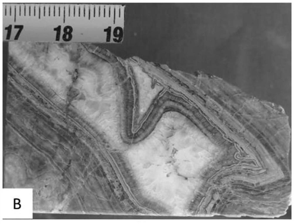 Carbonate rock oil and gas reservoir-forming geological process reconstruction method based on dating technology