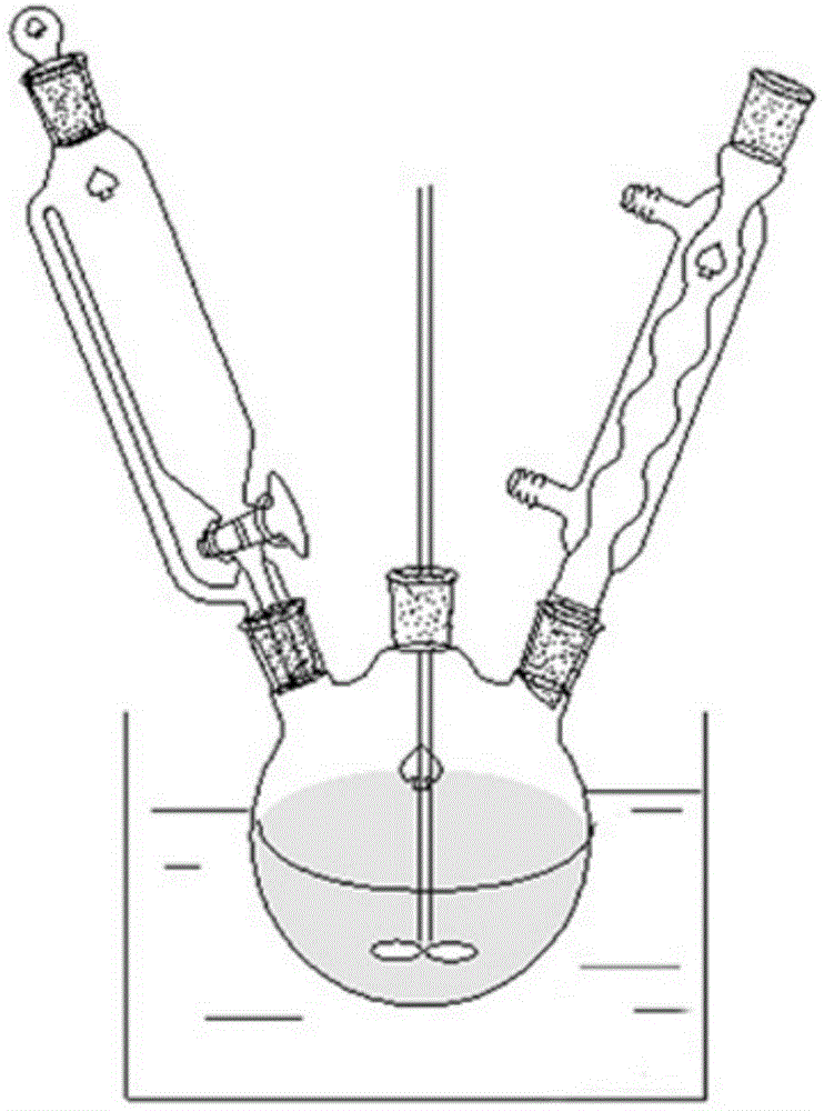 A method for preparing carboxymethyl rice starch by continuous feed method