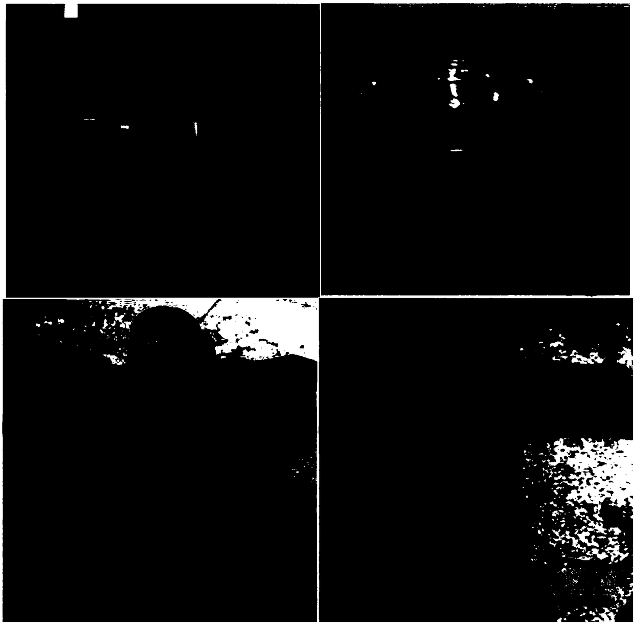 Preparation method of high compression ratio 3D high simulation self-expansion model and product