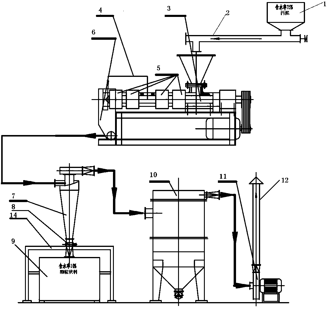 Sludge screw type direct drying device and method