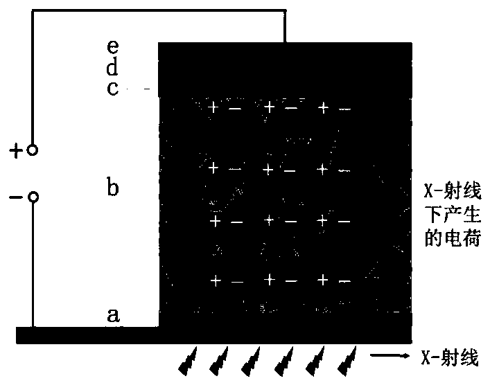 X-ray detector based on perovskite single crystal particle composite film and preparation method thereof