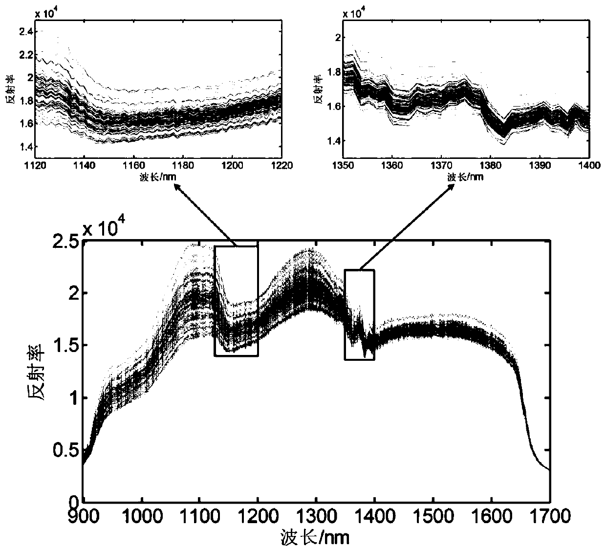 Fillet freshness detection method based on portable near-infrared spectrometer