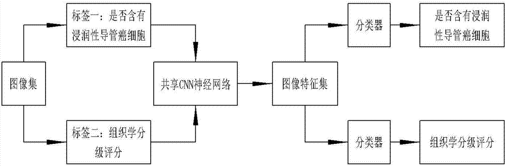 Computer aided method for histological grading of breast invasive ductal carcinoma