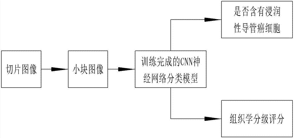 Computer aided method for histological grading of breast invasive ductal carcinoma