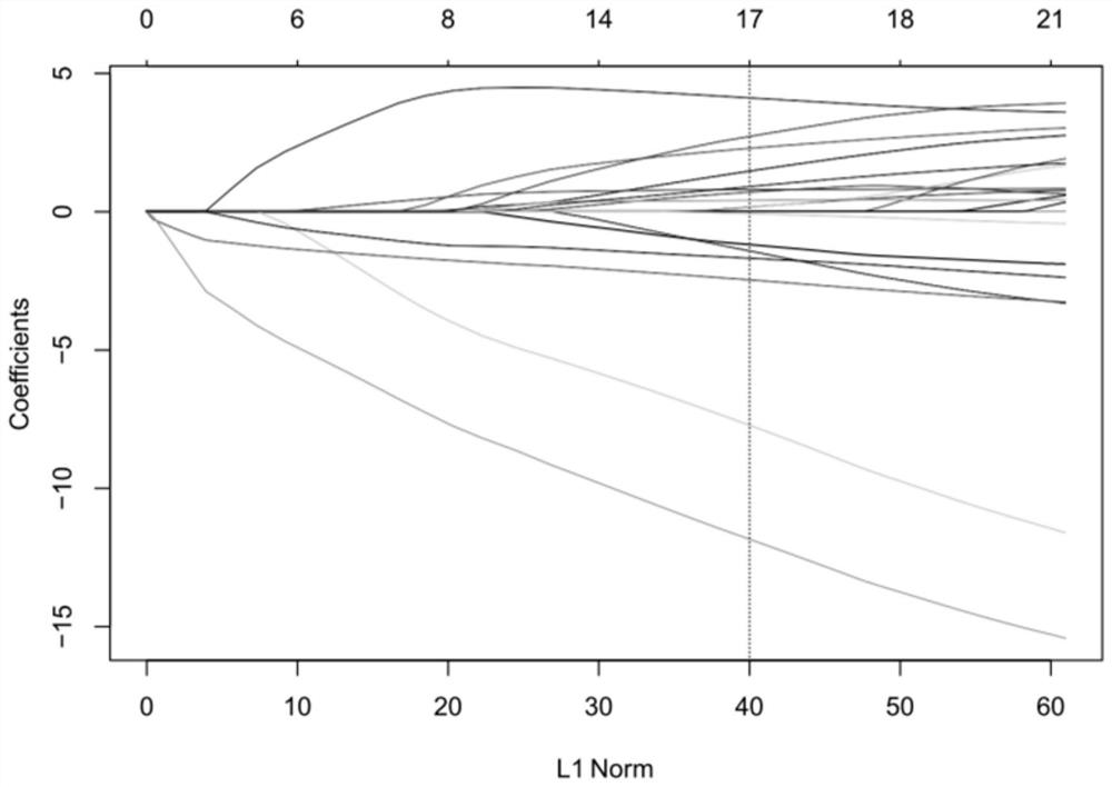 Lung cancer prognosis comprehensive prediction model, construction method and device