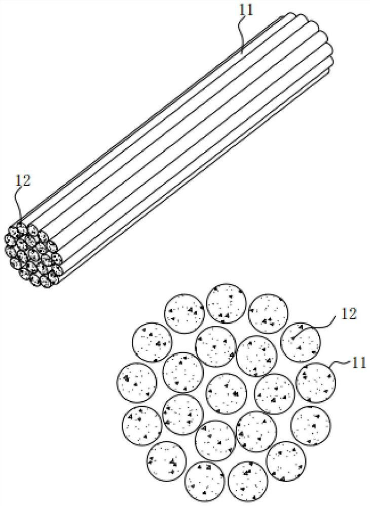 Pet chewing gum with tooth-healthy function and preparation method thereof