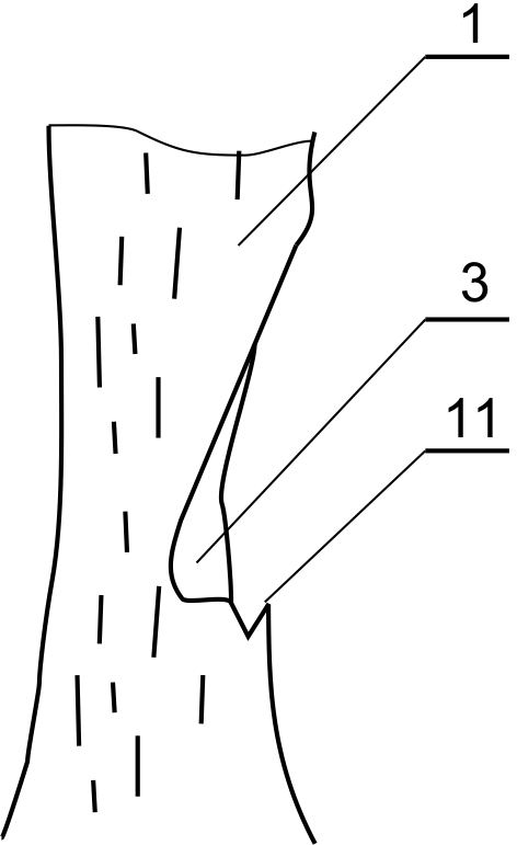 Rejuvenation-type repairing method of holes or depressed defects of rare old trees