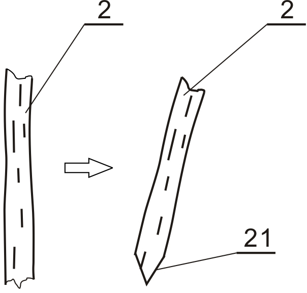 Rejuvenation-type repairing method of holes or depressed defects of rare old trees