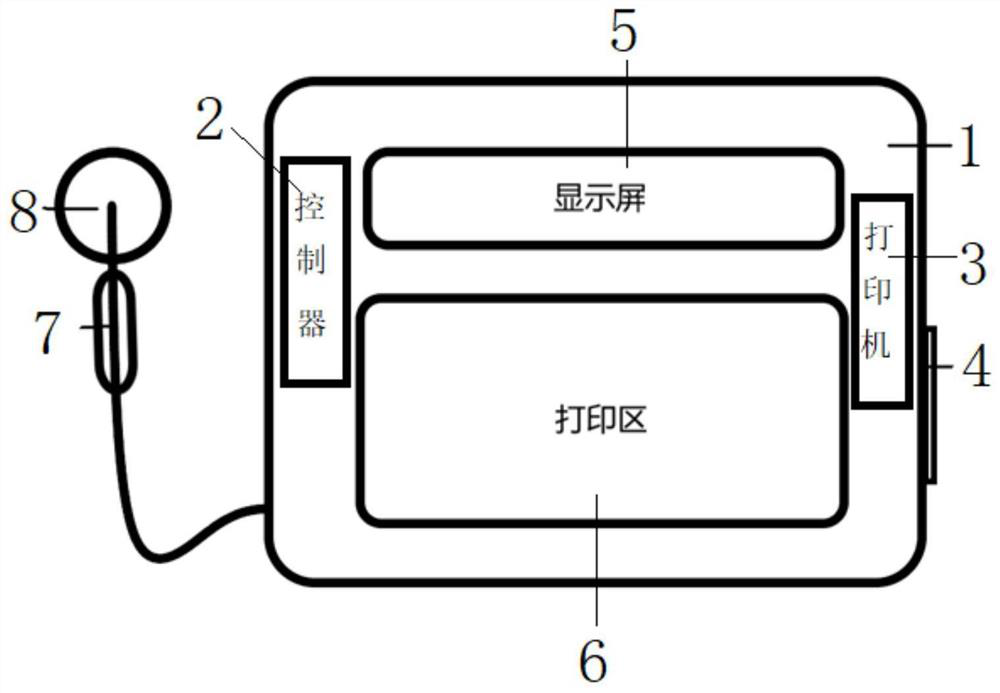 Auscultation visualization system