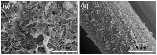 Preparation method of multi-element metal phosphorus-doped electrocatalyst based on ternary LDH derivation