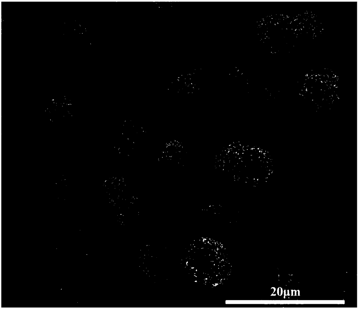 Cation-doped gradient high-nickel multi-material precursor and preparation method and application thereof