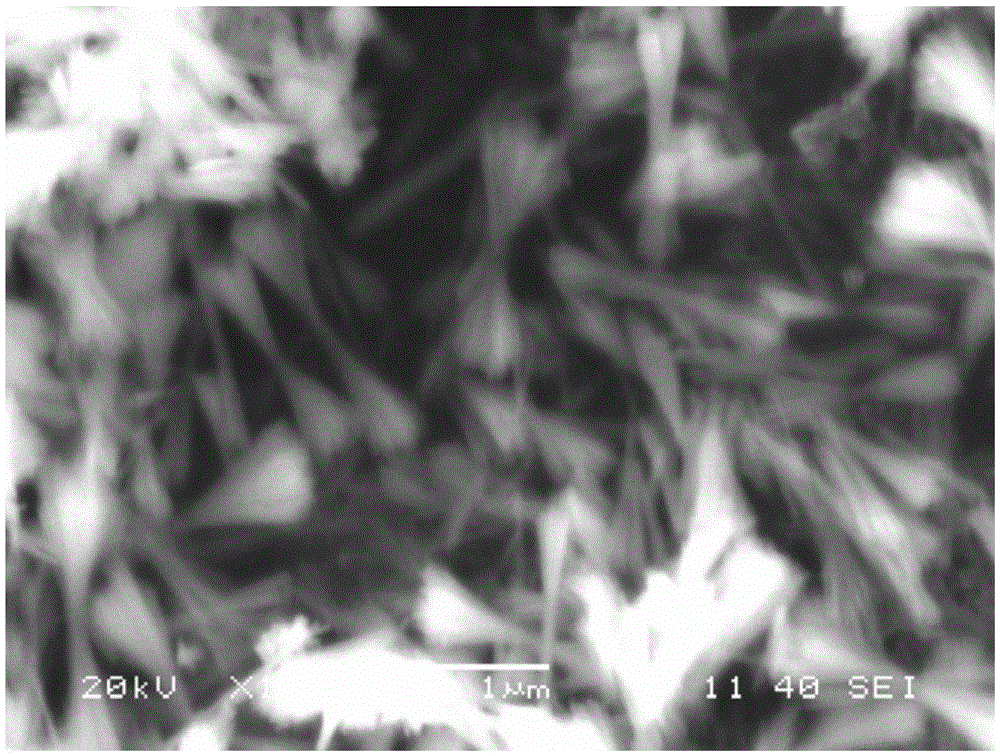 Method for preparing neodymium vanadate nanowire bundles in hydrothermal mode