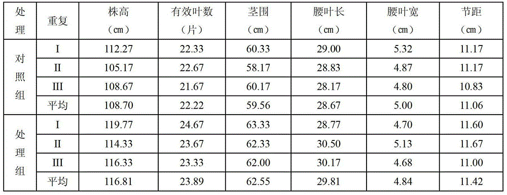 Application of trichoderma pseudokoningii SMF2 bacterial strains in plant growth promotion