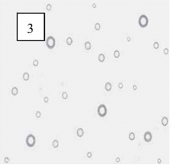 Linseed oil microcapsules capable of quickly forming films to timely repair scratches and preparation method thereof