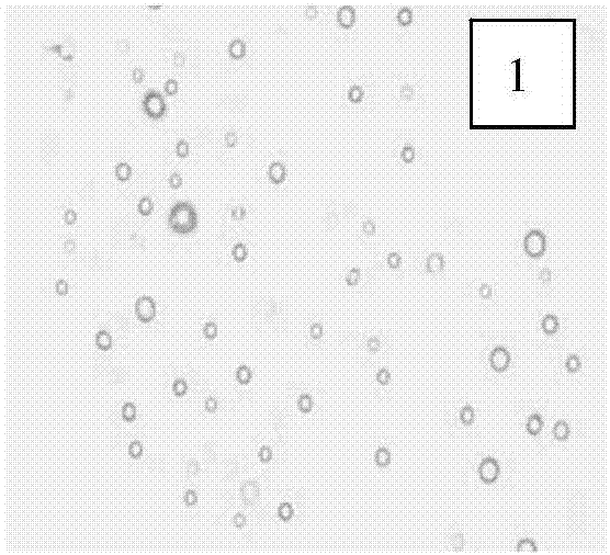 Linseed oil microcapsules capable of quickly forming films to timely repair scratches and preparation method thereof