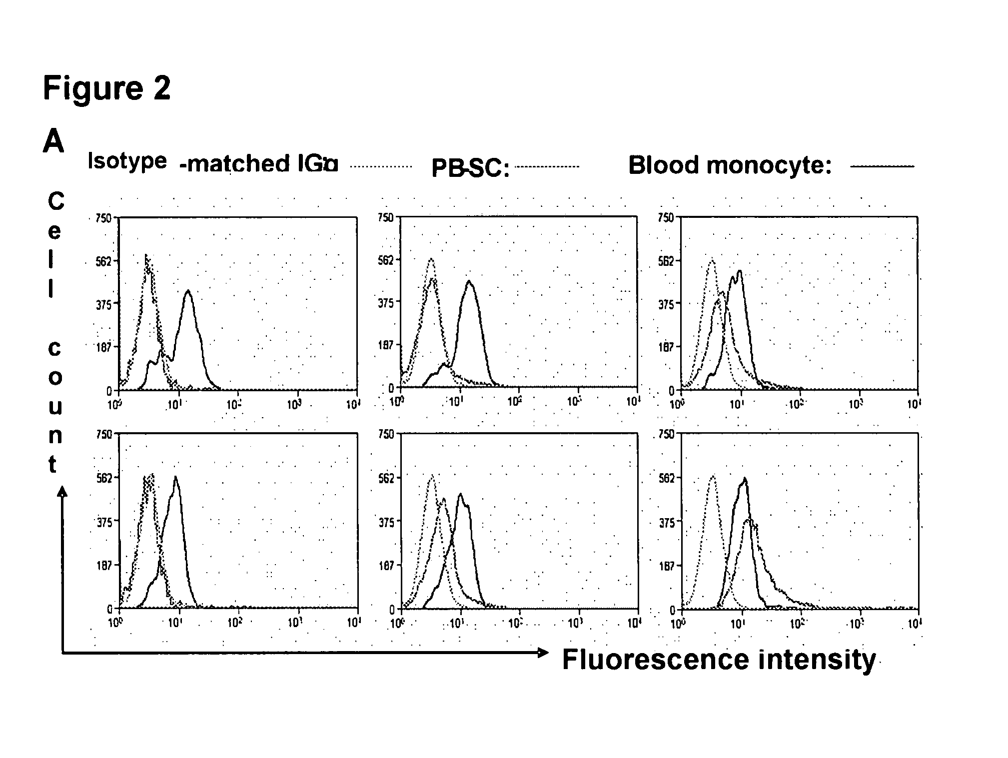 Embryonic-like stem cells derived from adult human peripheral blood and methods of use