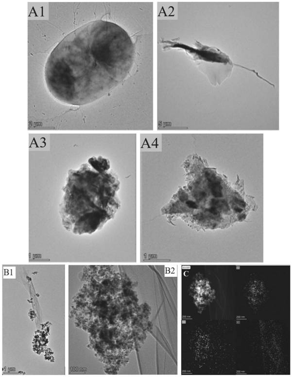 Application of magnetic composite material in removal of plastic fragments