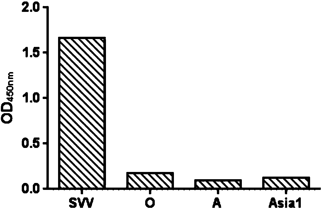 Double antibody sandwich ELISA kit used for Seneca viral antigen detection and application thereof