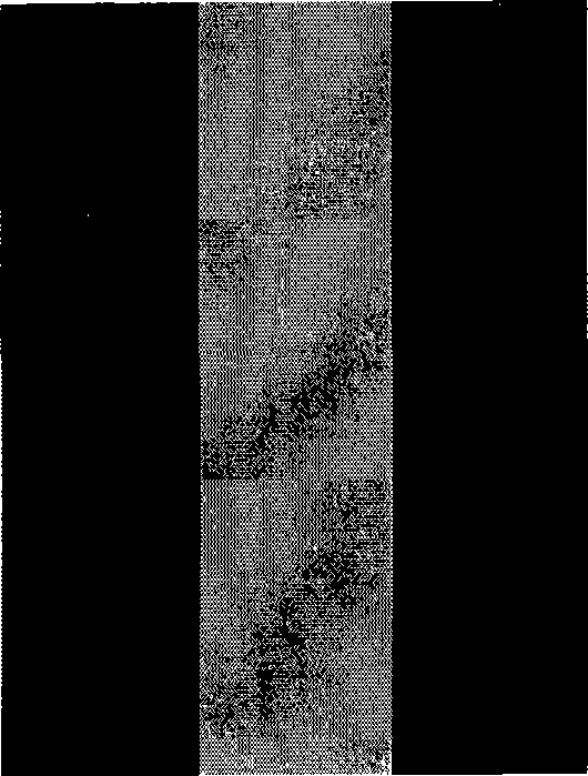 Method for displaying overlapped pattern on the background picture and display apparatus thereof