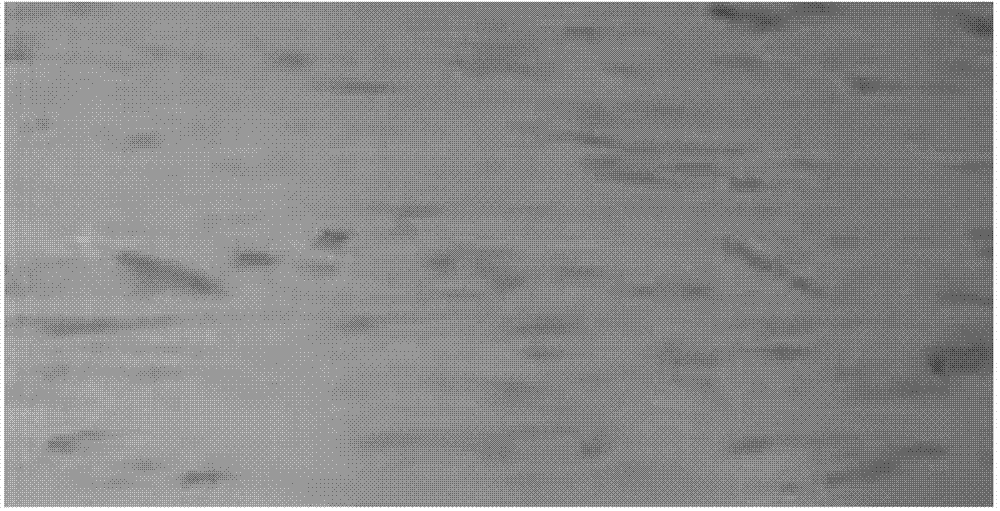 Full-body graining polyethylene plastic wood composite and preparation method thereof