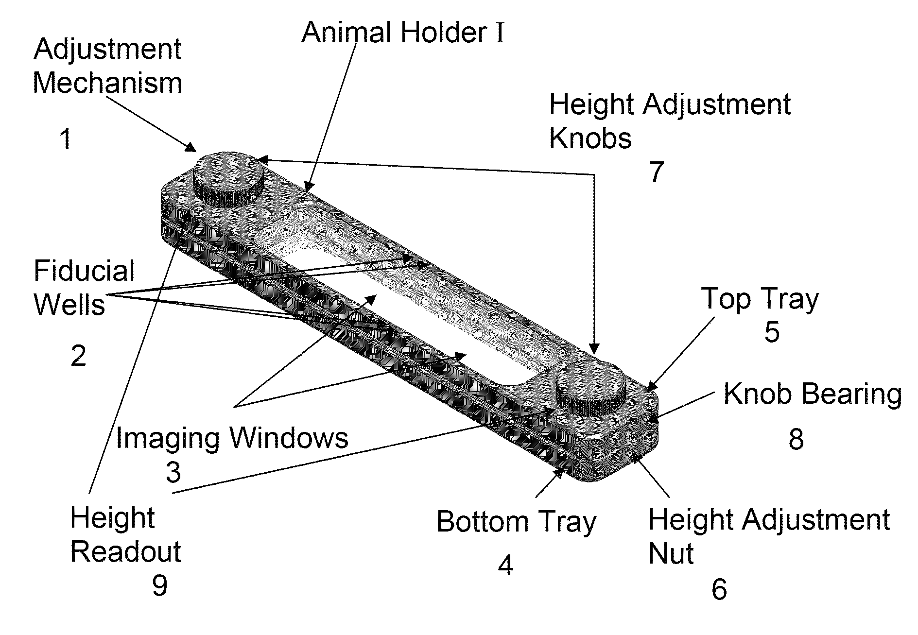 Animal holder for in vivo tomographic imaging with multiple modalities