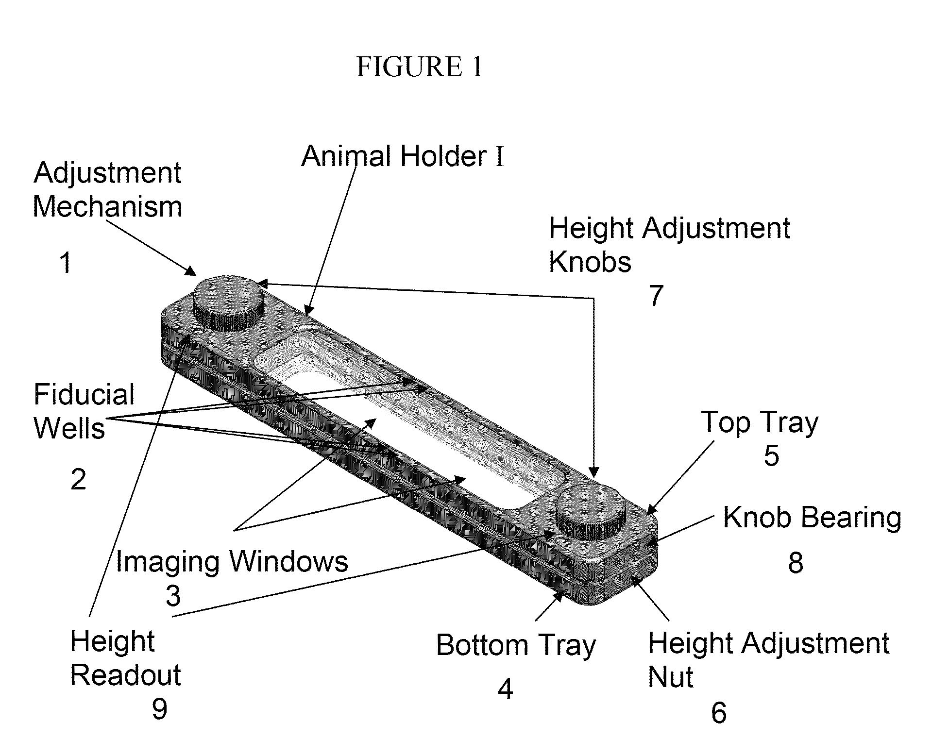 Animal holder for in vivo tomographic imaging with multiple modalities