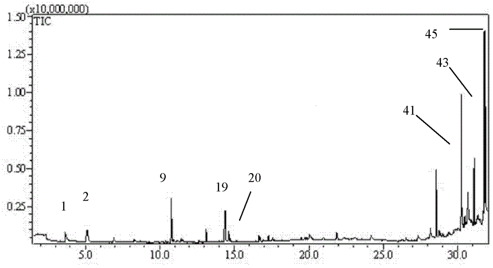 Rabbit meat sausage and preparation method thereof