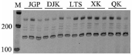 Wintersweet est-ssr marker and its application in genetic diversity analysis