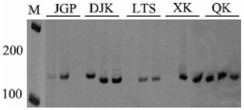 Wintersweet est-ssr marker and its application in genetic diversity analysis