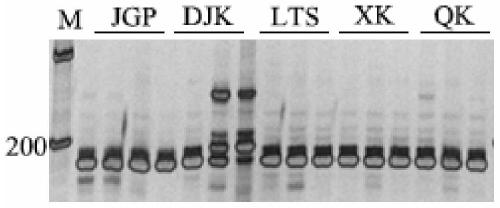 Wintersweet est-ssr marker and its application in genetic diversity analysis