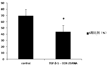 siRNA molecule composition, and applications thereof in treatment of hypertrophic scars