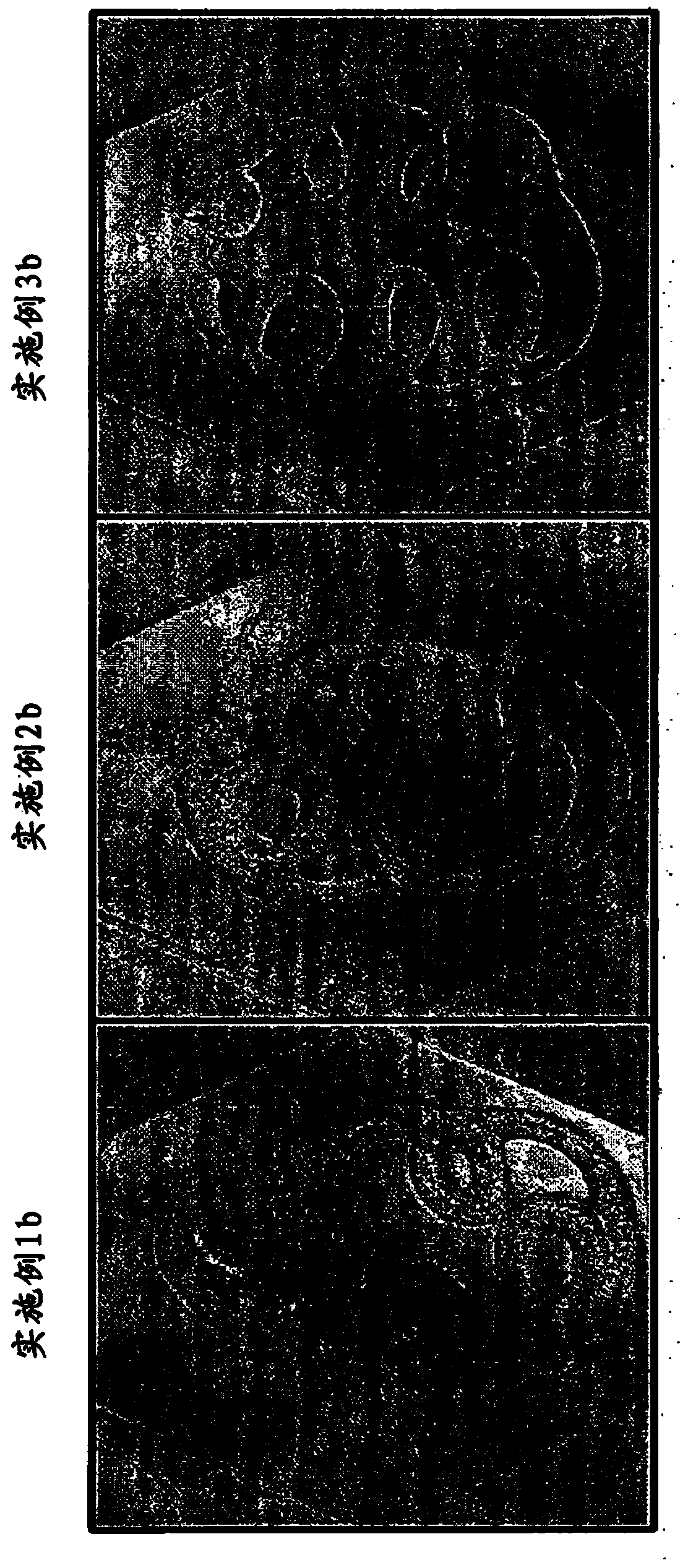 Hemostasis composition including cross-linking hyaluronic acid derivative matrix