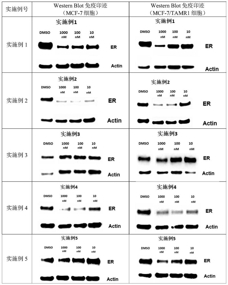 Heterocyclic compounds and their applications in medicine