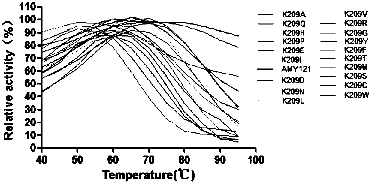 A class of amylase mutants with improved thermostability and their coding genes and applications