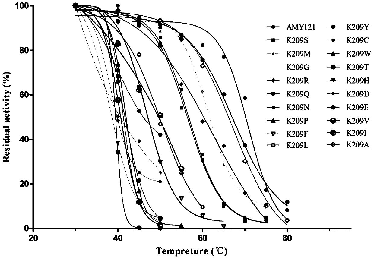 A class of amylase mutants with improved thermostability and their coding genes and applications