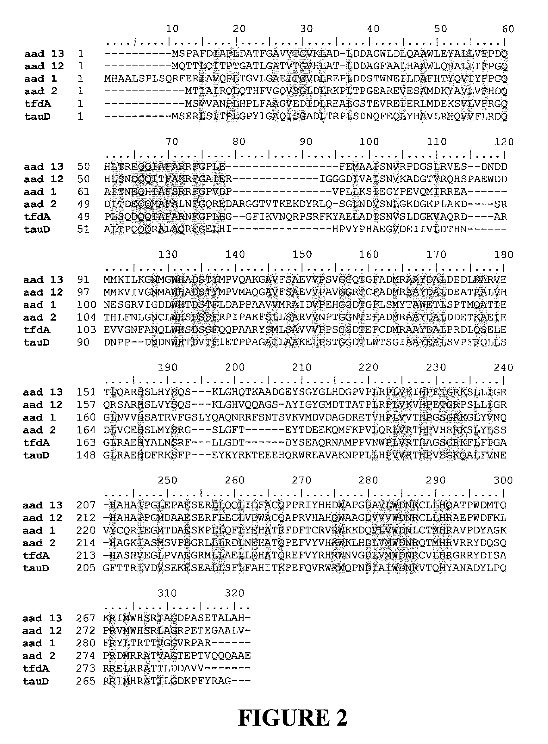 Herbicide resistance genes for resistance to aryloxyalkanoate herbicides