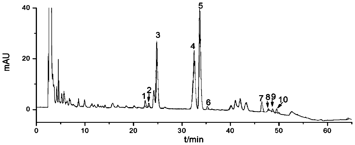 Composition, preparation method and application of composition as acetylcholinesterase inhibitor