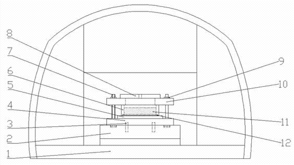 In situ observation device and method of pitting forming process